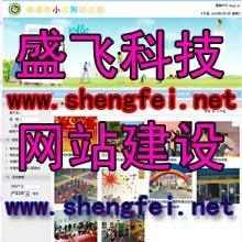 郑州盛飞科技公司 专业网站建设，以视觉之美赋能品牌形象