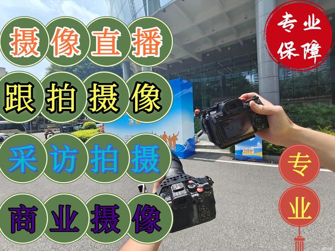 陇南网站建设与推广 本地企业的数字化破局之道
