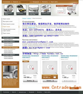 临夏专业俄文网站建设与开发指南