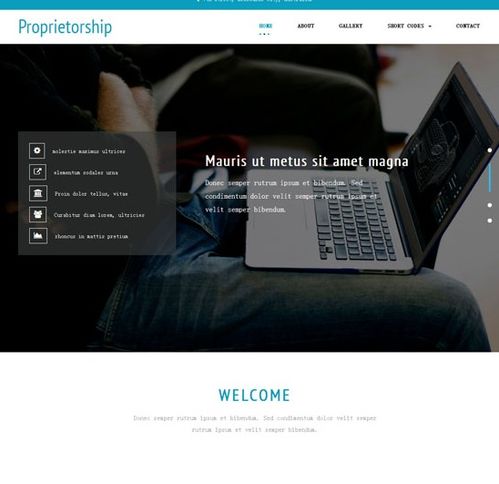 免费淘宝商品详情页网站模板 PHP中文网源码助力前端开发与网站建设